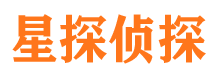 岳池侦探